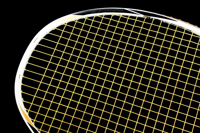 vidaXL's Badmintonsæt - Kombiner kvalitet og pris